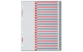 Kolma Register A4 XL LongLife 1-20 20-teilig, grau