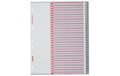 Kolma Register A4 XL LongLife 1-31 31-teilig, grau
