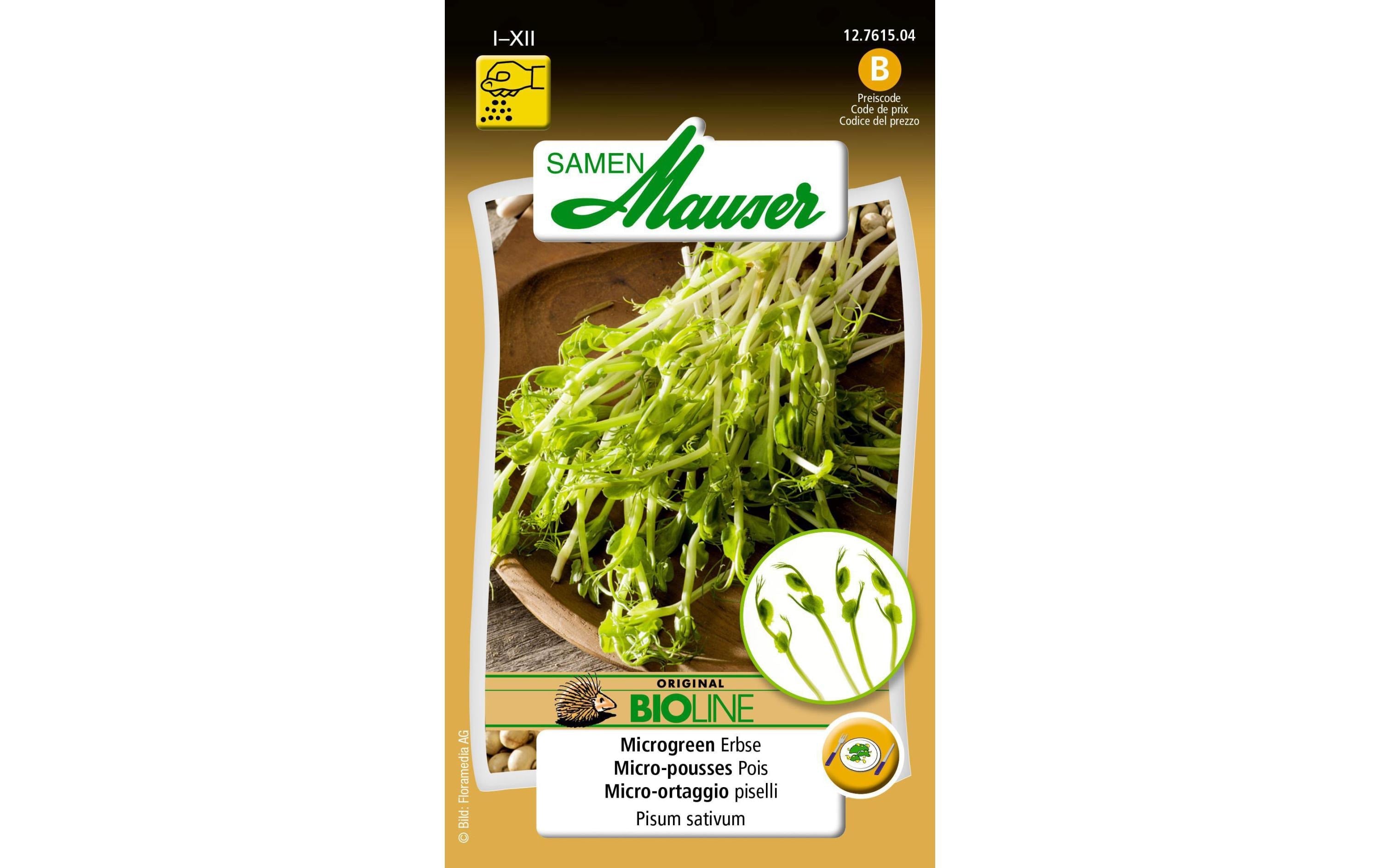 Samen Mauser BIO Microgreen Erbse 20 g Pisum sativum