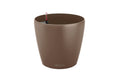 Lechuza CLASSICO Color 18 muskat
