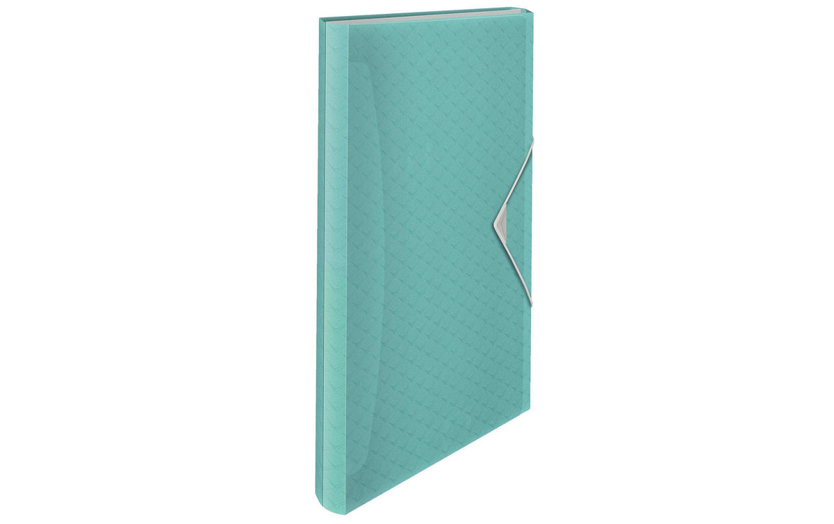 Esselte Colour'ICE Projektmappe A4 6 Fächer blau
