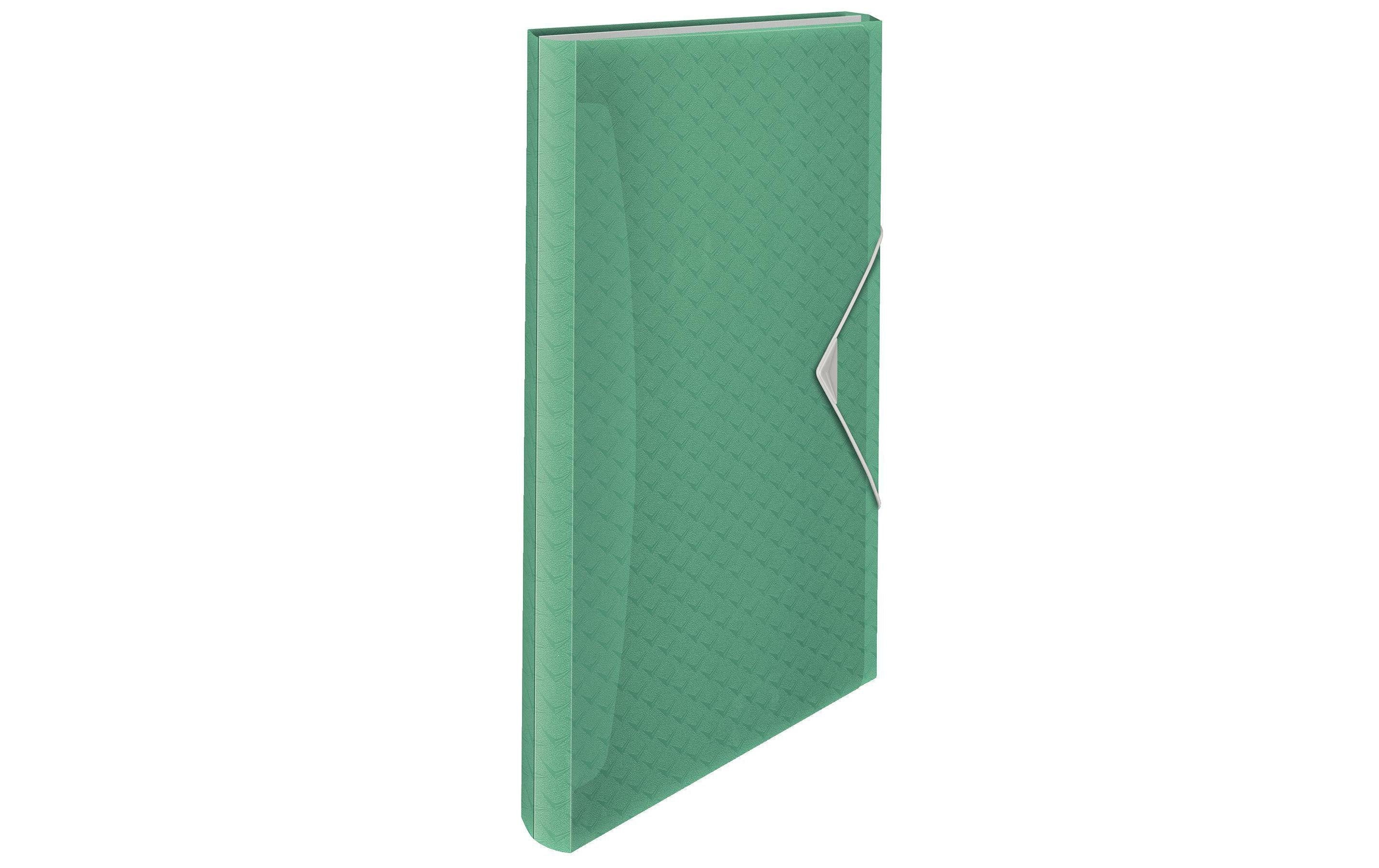 Esselte Colour'ICE Projektmappe A4 6 Fächer grün