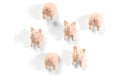 Trendform Magnete Piggy 6er Set, pink