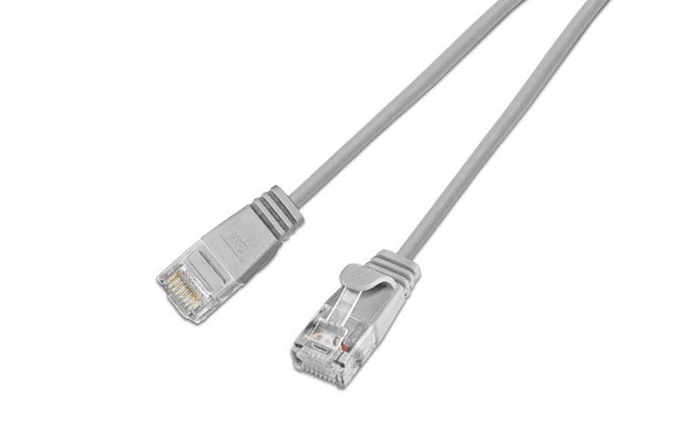 Wirewin Slim Patchkabel: UTP, 1m, grau Cat.6, AWG36, Klinkenschutz, rund, 2.8mm