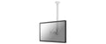 Neomounts FPMA-C100WHITE Flatscreen Mount (Height: 79-129 cm)