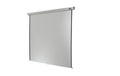 Celexon, Rollo Professional, Leinwand, 1:1 manuell, 220x220cm