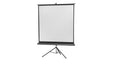 Celexon, Eco Stativ, Leinwand, 1:1 manuell, 244x244cm