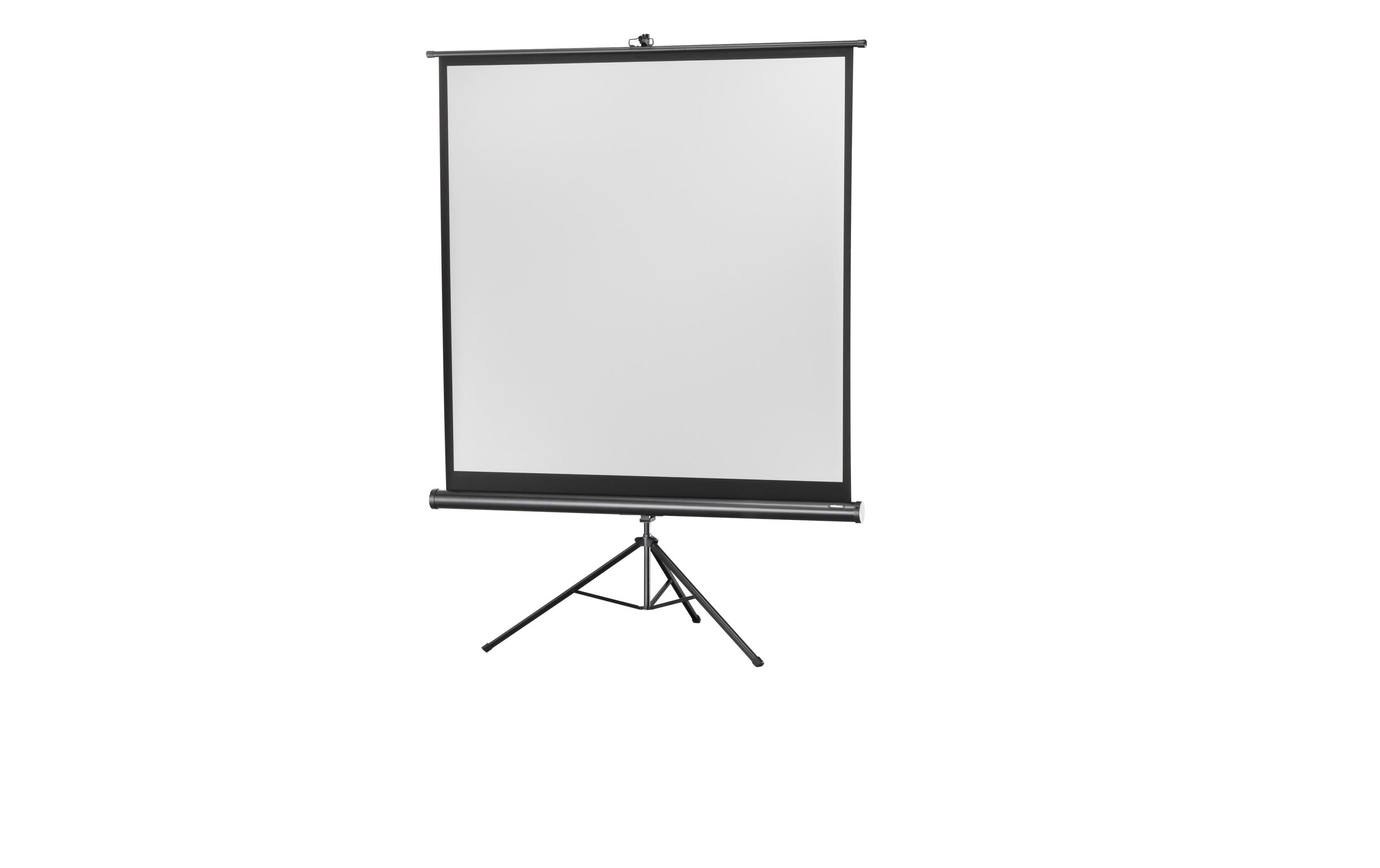 Celexon, Eco Stativ, Leinwand, 1:1 manuell, 244x244cm