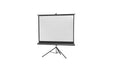 Celexon, Eco Stativ, Leinwand, 4:3 manuell, 244x183cm