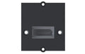 Bachmann Custom Modul, 1x DisplayPort Buchse / Buchse