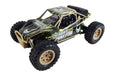 Amewi Desert Truck Max Fox RTR, 1:24