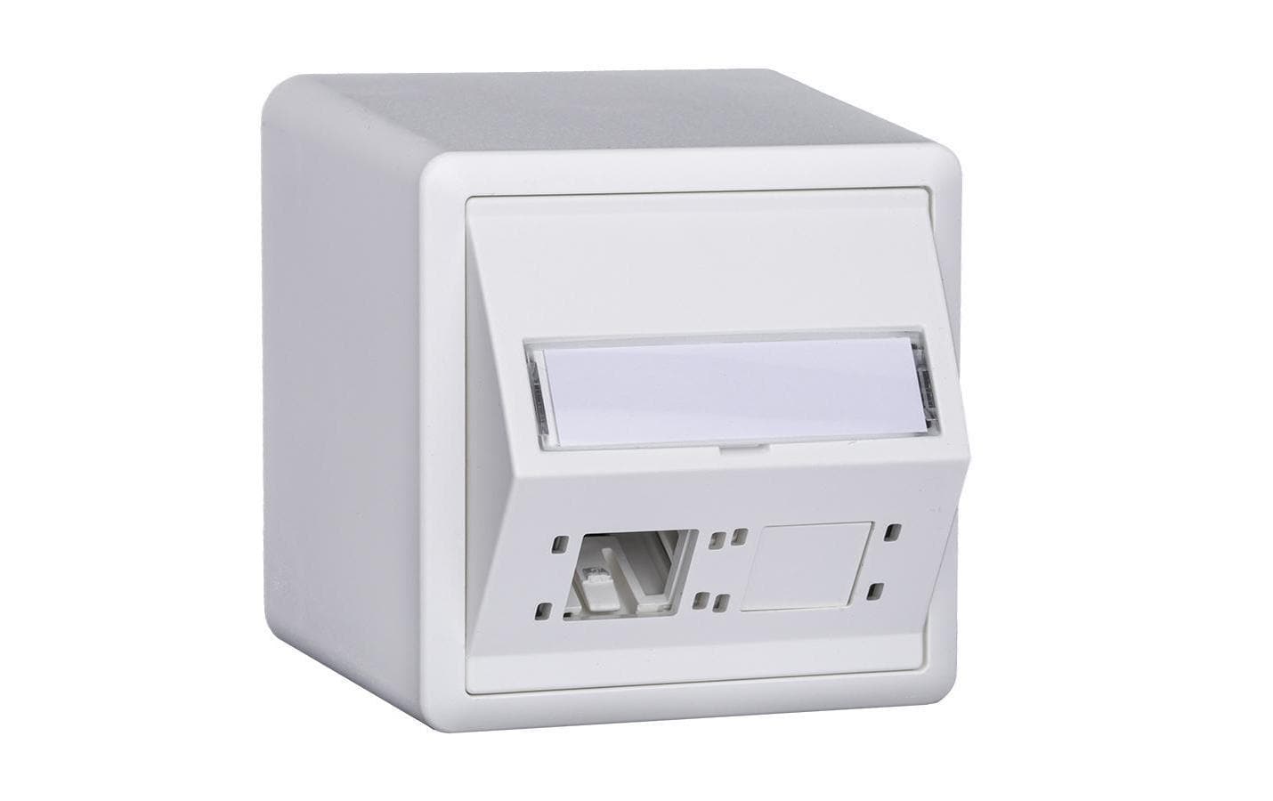 R + M AP DA-Dose EDIZIOdue 74x74 H54, 2Port Cat 6A 8.1 weiss