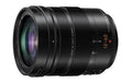 Panasonic 12-60mm f/2.8-4 O.i.S