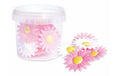 ScrapCooking Zuckerfiguren Gänseblümchen 18 Stück