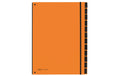 Pagna Pultmappe A4 Trend 12 Fächer, orange