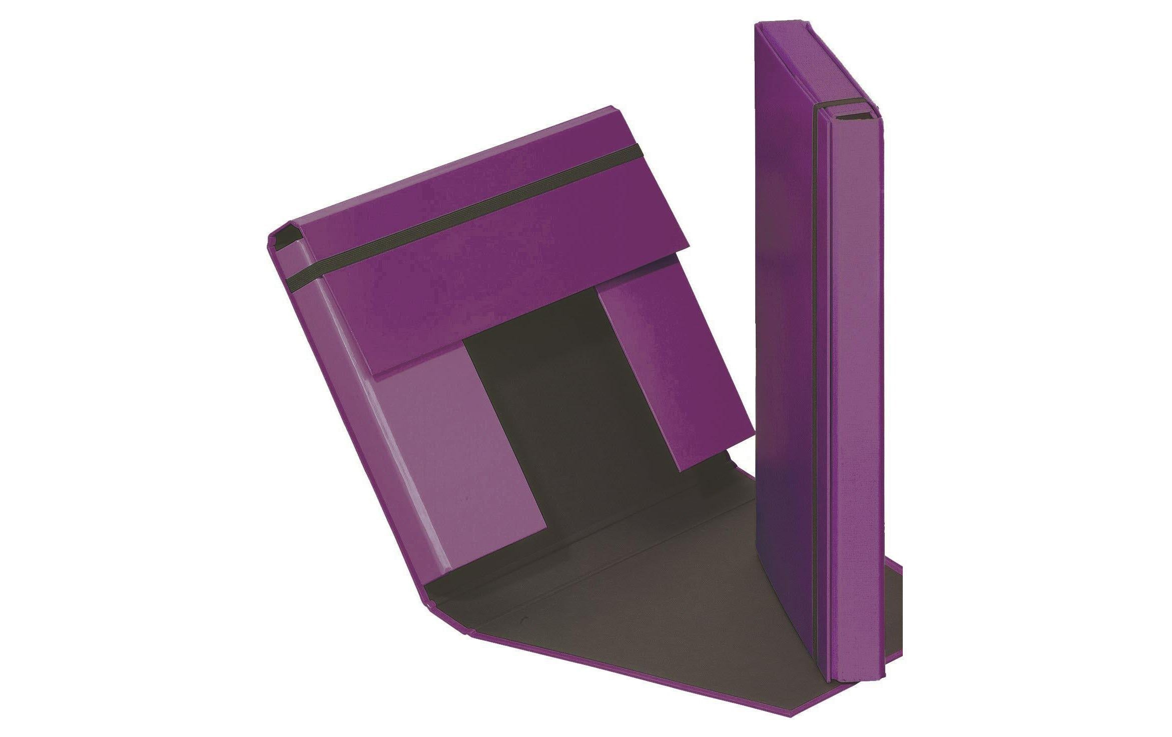 Pagna Gummibandbox A4 lila