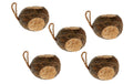 Eric Schweizer Coconut, 3 Loch 5 x 0.5kg