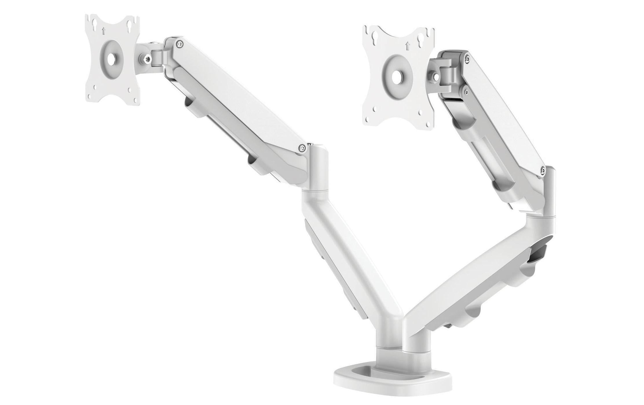 Fellowes Doppel-Monitorarm ESI Eppa weiss