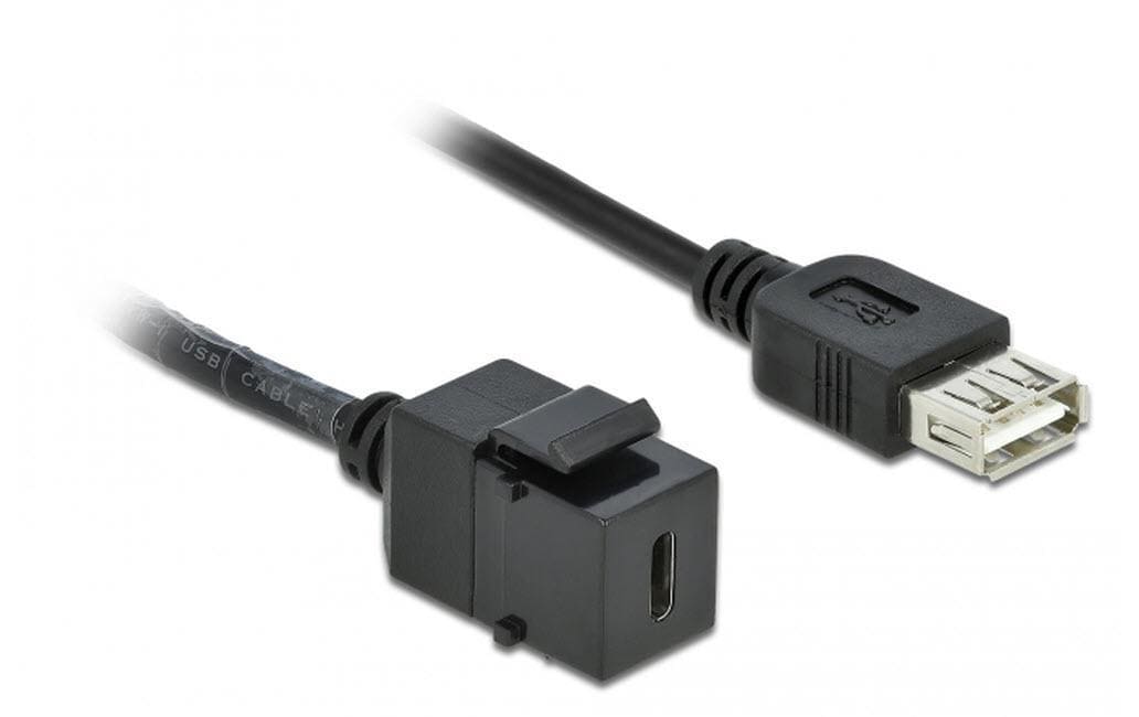 Delock Keystone Modul USB2.0 C-A Buchse 0.25m, USB C-Buchse zu A-Buchse, schwarz