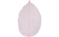 Creativ Company Laubblatt 20 Stück, rosa getrocknet und gefärbt, ca 6 - 8 cm