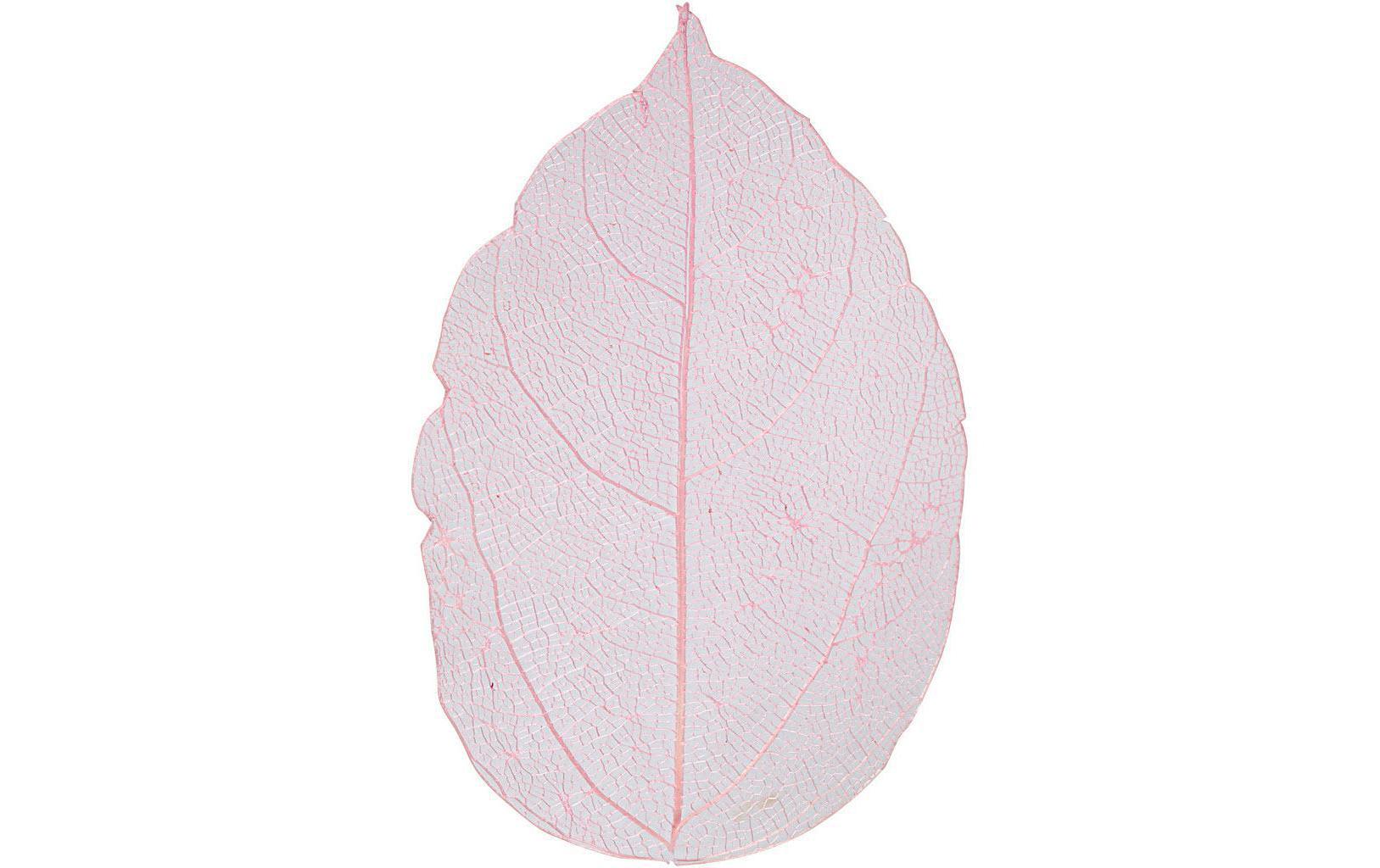 Creativ Company Laubblatt 20 Stück, rosa getrocknet und gefärbt, ca 6 - 8 cm