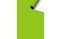 Stewo Geschenkpapier Colour hellgrün Grösse 70cmx2m, 80gm2