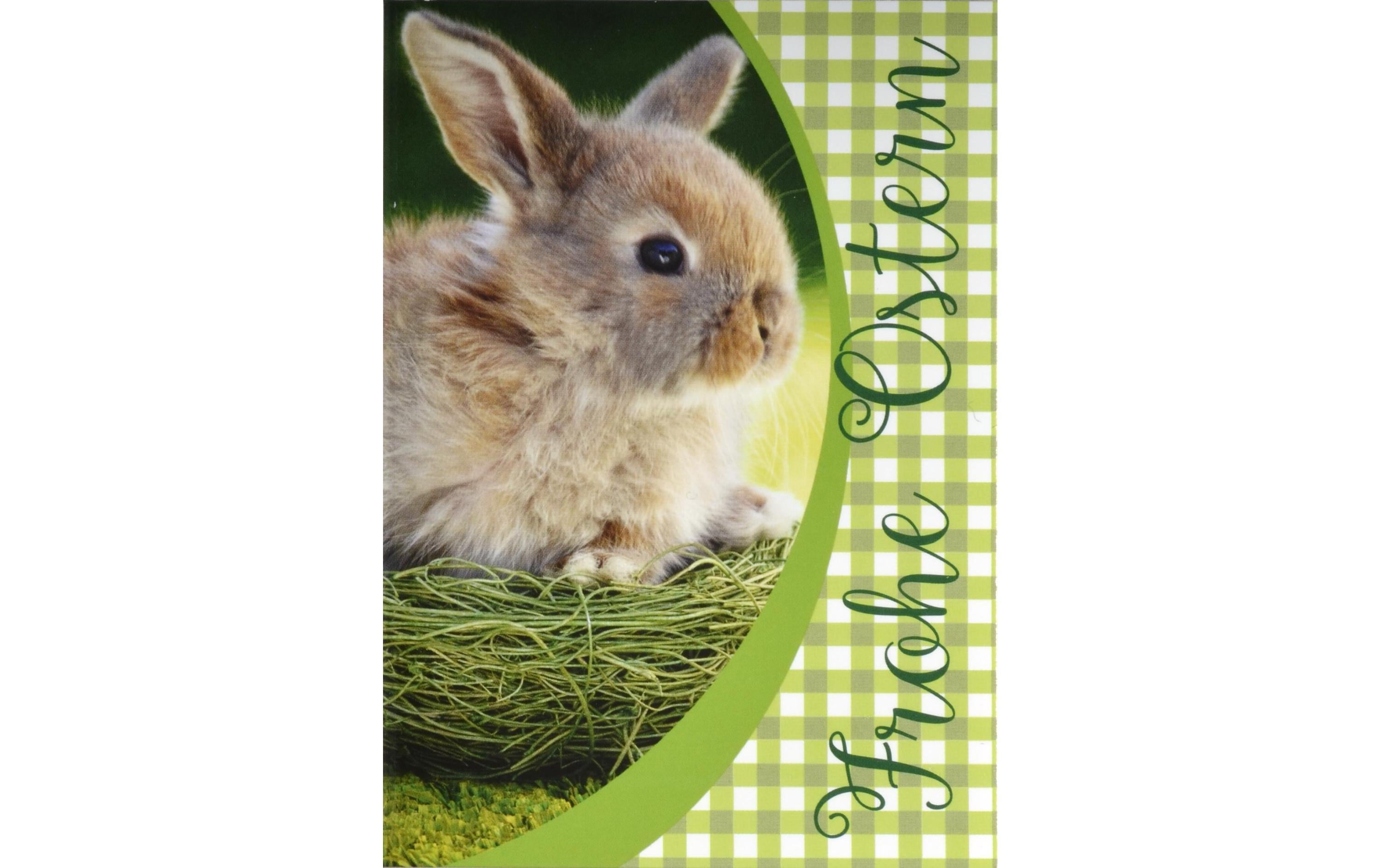 ABC Glückwunschkarte Frohe Ostern Mini-Format, 7 x 10 cm
