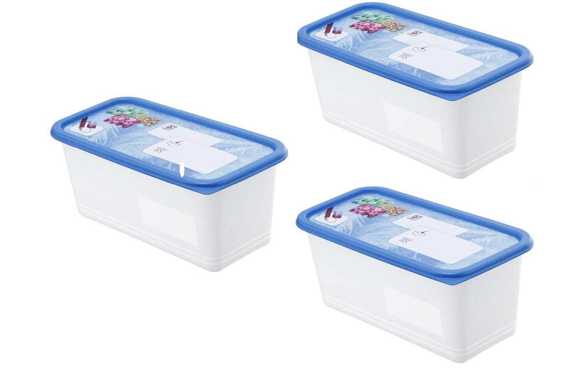 Rotho Gefrierdosen Set Domino Dekor 3x 1.5 Liter, 233x118x136 mm