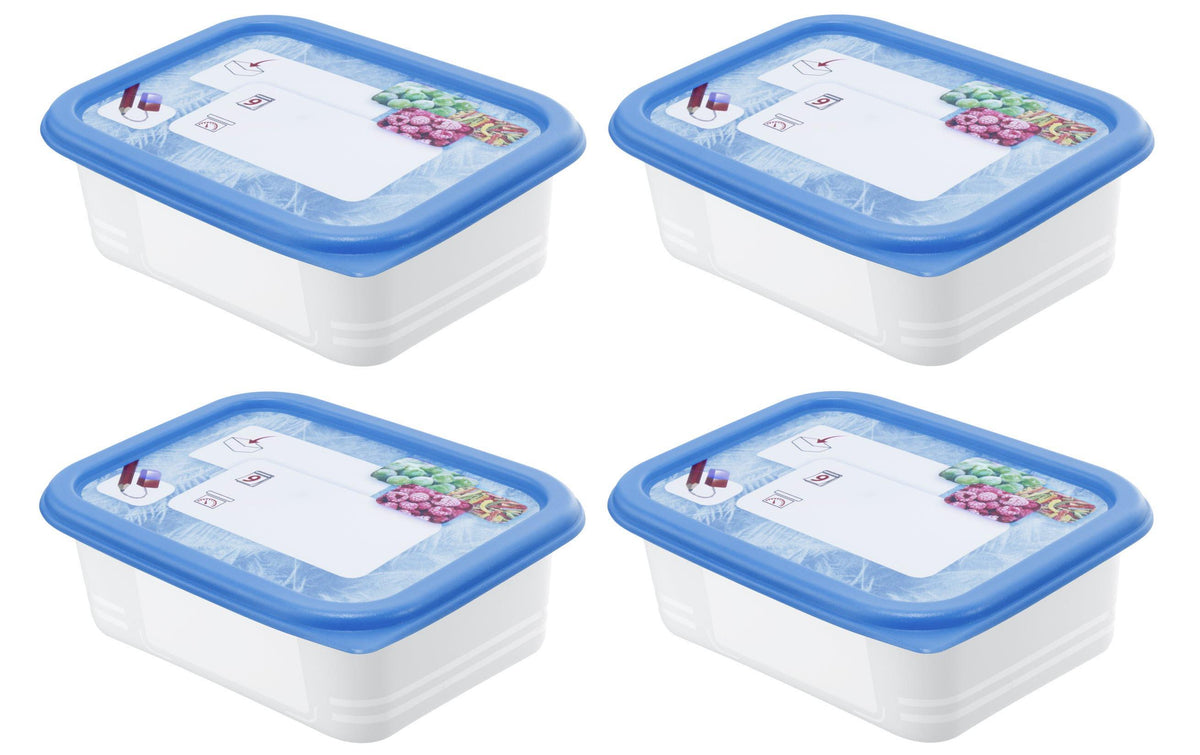 Rotho Gefrierdosen Set Domino Dekor 4x 0.5 Liter, 157x118x105 mm
