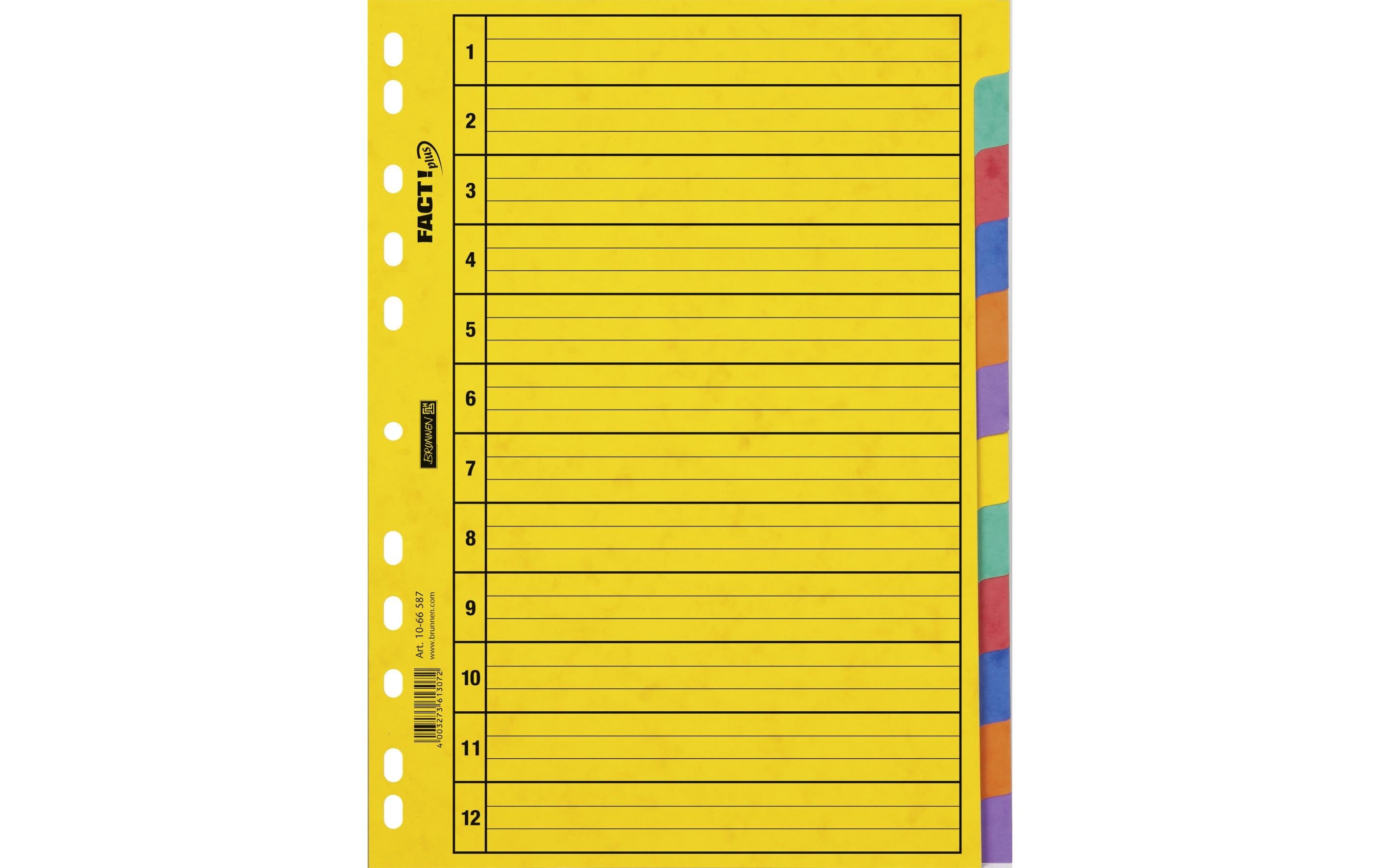 Brunnen Register A4 Fact Plus 12-teilig, 6 Farben