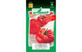 Tomate Buffalo Steak F1 Lypopersicon lycopersicum