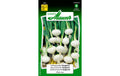 Frühlingszwiebel Vaugirard Allium cepa