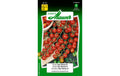Tomate Sun Cherry F1 Lypopersicon lycopersicum