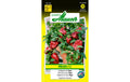 Peperoni Topa Capiscum annuum