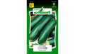 Gurke Festima Cucumis sativum