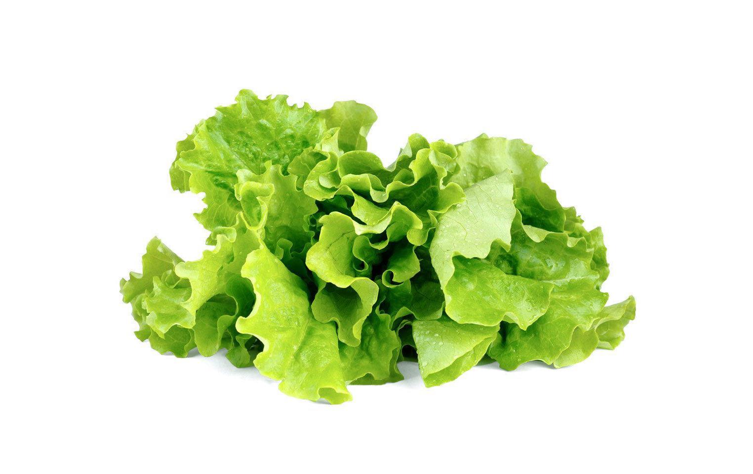 Click and Grow Grüner Salat Nachfüllpackung 3er Set