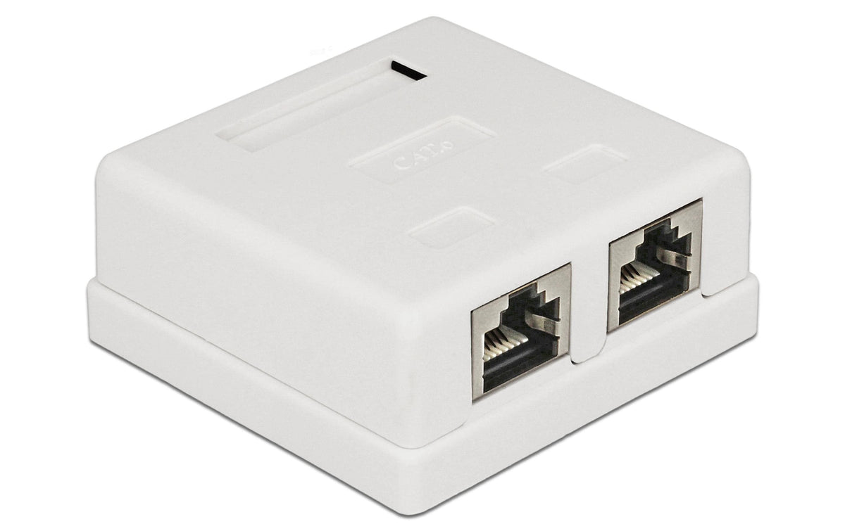 Delock RJ-45 Cat.6 Gehäuse: 2 Port Weiss, LSA Anschluss für Installationskabel