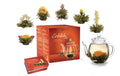 Creano Erblühtee Weisser Tee Geschenkset 6 Teeblumen, 1 Creano Teekanne