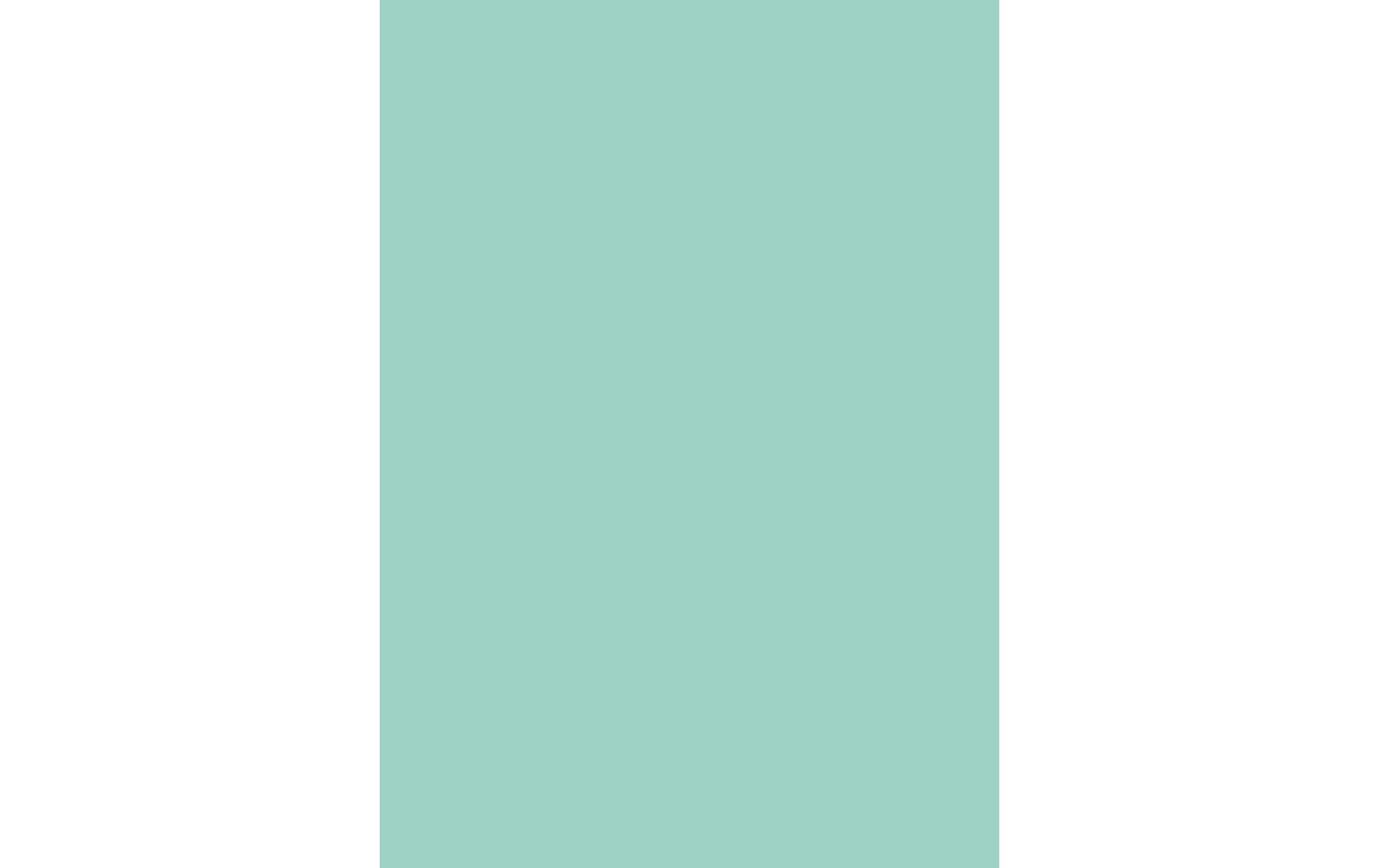 d-c-fix Designfolie 45 cm x 2 m Uni Lack mint