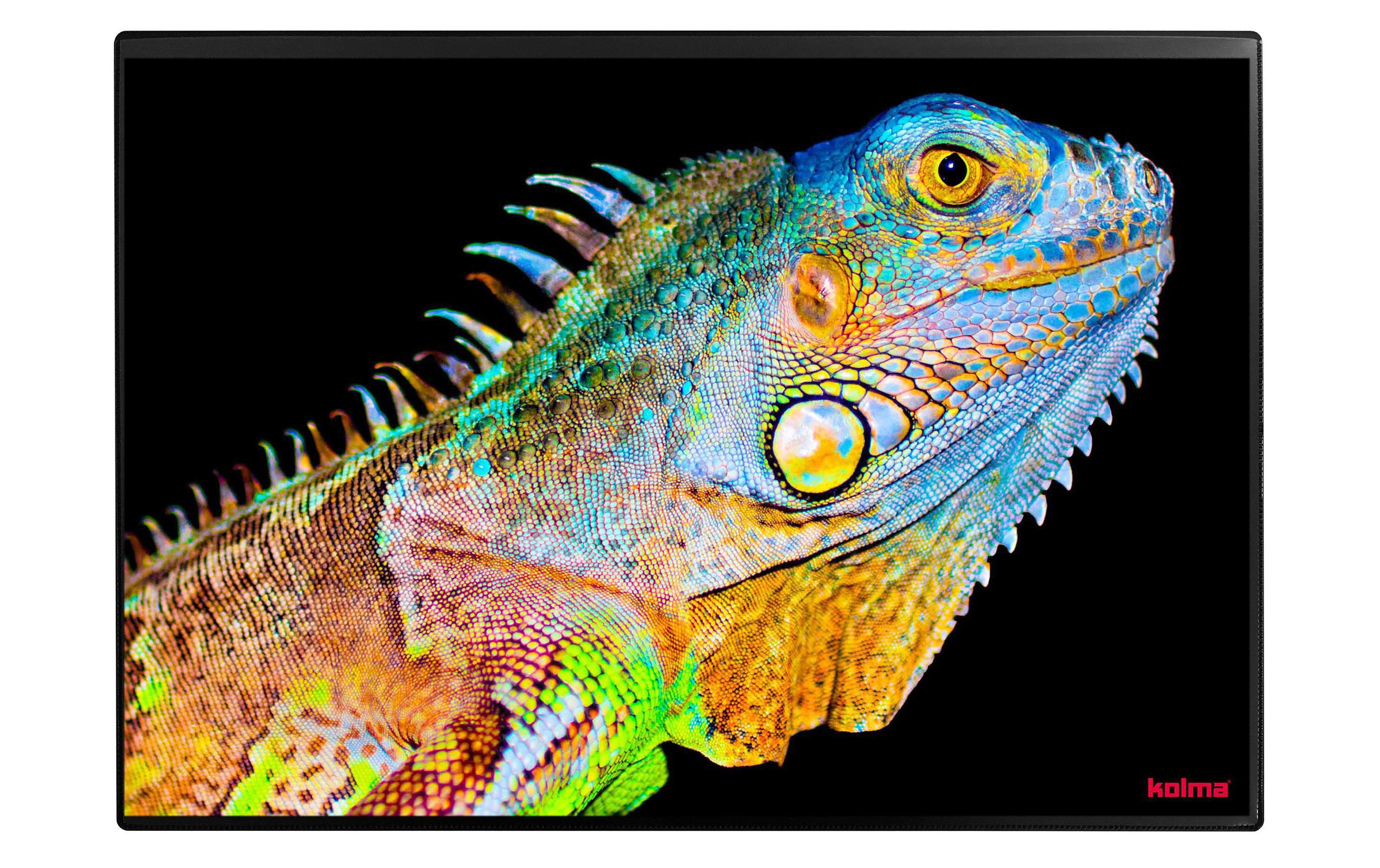 Kolma Schreibunterlage Undercover Poster Exotic, 50x34cm