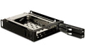 Delock Wechselrahmen für 2 x 2.5"HDD/SDD passend für 3.5" Schacht