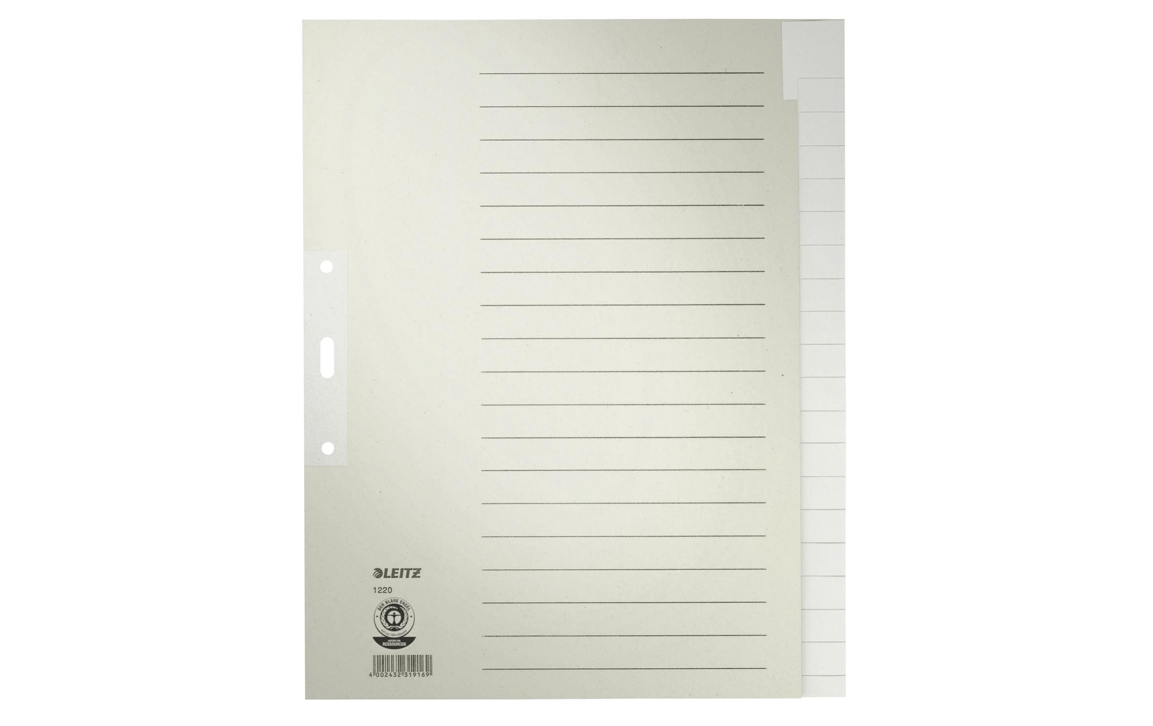 Leitz  Register Blanko A4+ Papier grau, 20 Taben verstärkt