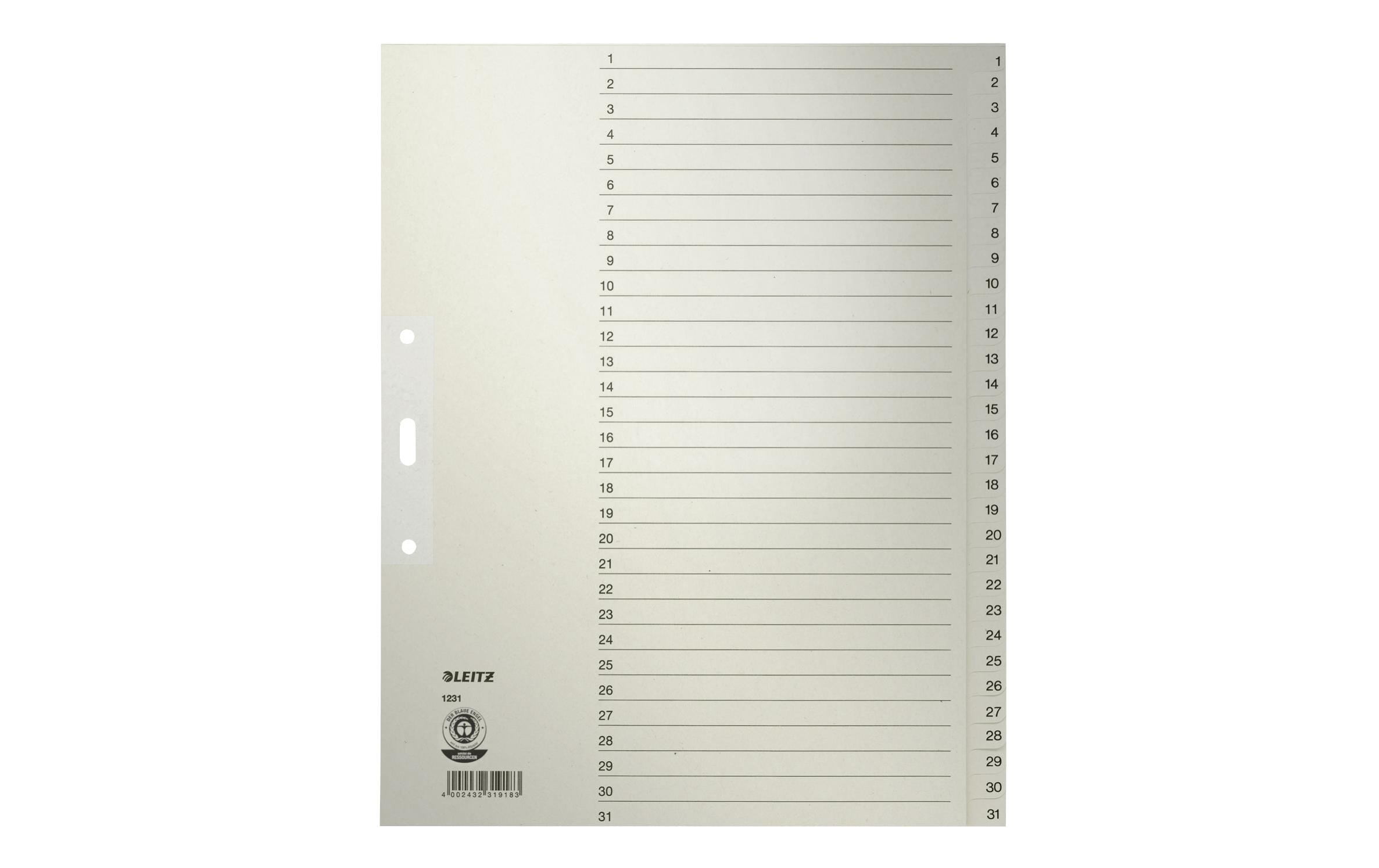 Leitz  Register 1-31 A4 grau