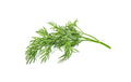 Click and Grow Smart Garden Plant Pod 3-pack, Dill