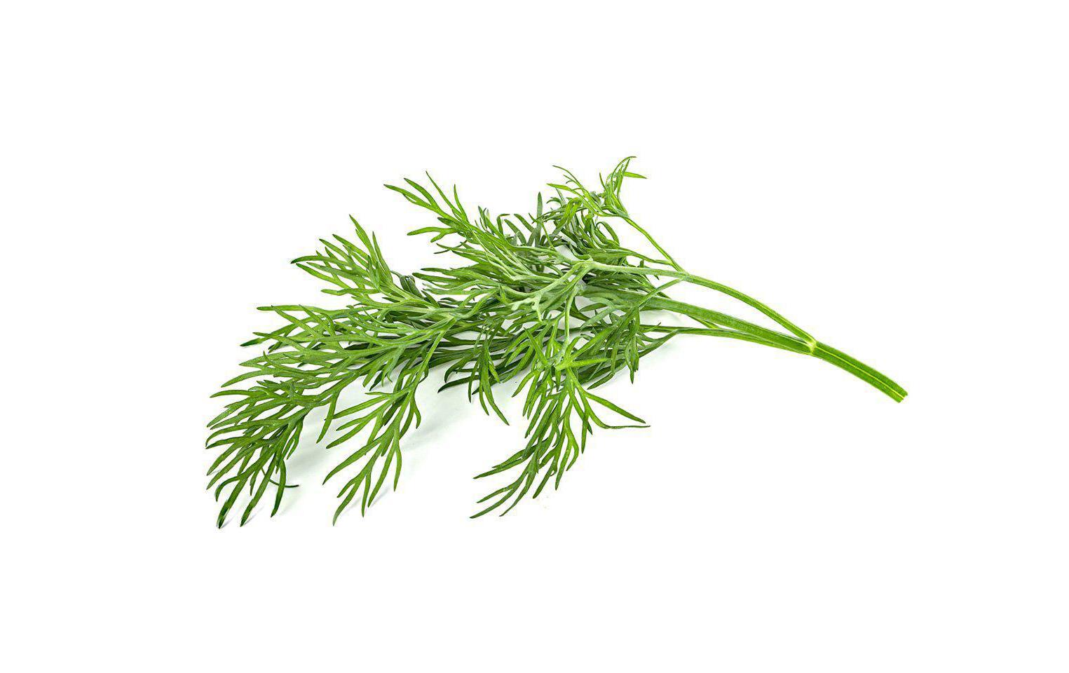 Click and Grow Smart Garden Plant Pod 3-pack, Dill