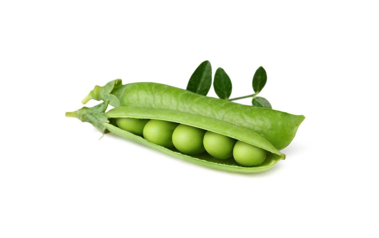 Click and Grow Smart Garden Plant Pod 3-pack, Dwarf Pea