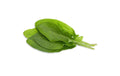 Click and Grow Smart Garden Plant Pod 3-pack, Green Sorrel