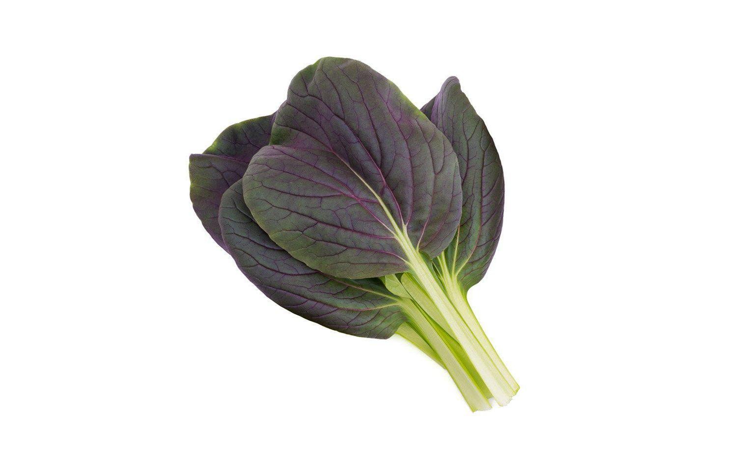 Click and Grow Smart Garden plant pod 3-pack, Red Pak Choi